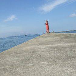 中島埠頭で投げ釣り　魚種多様に楽しめました