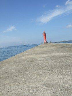 中島埠頭で投げ釣り　魚種多様に楽しめました