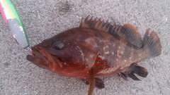 ルアー釣りの盲点!?【K.Takemasa氏　連載記事】