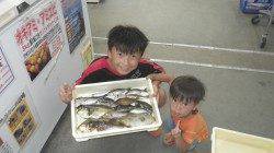 お子様が多彩な釣果〜一本松漁港でバリコ・カワハギ・イサギなど