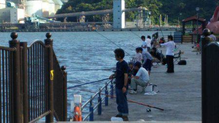 サビキで賑わう親海公園にてウキ釣りでチヌ5…