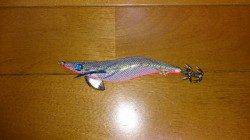 夏イカ狙いで谷川漁港に出撃〜日没直前にゲット