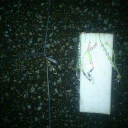 兵突突堤で穴子釣り〜ひっきりなしに釣れて43匹