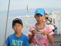 尼崎市魚つり公園、サビキで大はしゃぎ!そろそろサンバソウも狙い目?