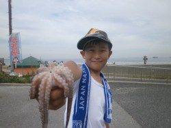 大阪南港魚つり園、サビキでアジ・サバ　他タコも