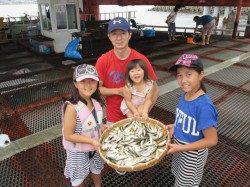 尼崎市魚つり公園　昼から豆アジが入れ喰い状態