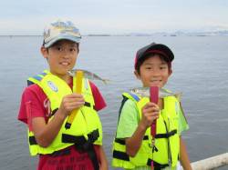 豆アジ朝から入れ喰いお祭り状態♪　尼崎市魚…