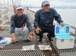 尼崎市魚つり公園、雨ですがアジは入れ食いです！