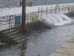 南港海釣り公園　サビキでアジ・サッパも波高く14時で閉園