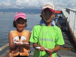 尼崎市魚つり公園、アジ相変わらず釣れています！