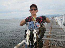 尼崎市魚つり公園、サビキでアジ200匹にサバ150匹☆