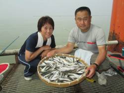 サビキでもサヨリ釣れてます　尼崎市立魚つり…