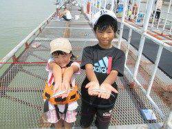 サビキでもサヨリ釣れてます　尼崎市立魚つり公園