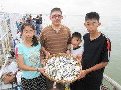 ２時間でこの釣果♪　尼崎市立魚つり公園のサビキでアジ・イワシなど