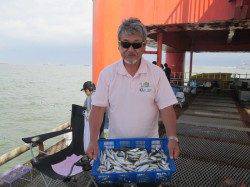 尼崎市立魚つり公園　ご夫妻でアジが200匹とサッパを30匹