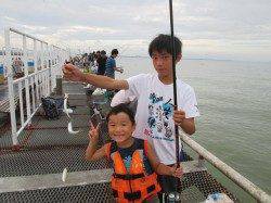 尼崎市魚つり公園　サビキのアジ・イワシは絶好調