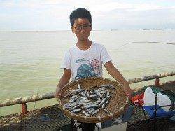 尼崎市立魚つり公園　今日のサビキはアジとサッパがメイン