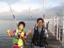 尼崎市立魚つり公園のサビキアジ好調、嬉しい外道でサヨリも