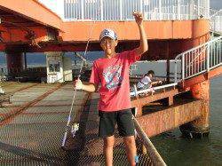 アジイワシが２００匹！　尼崎市立魚つり公園