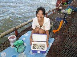 尼崎市立魚つり公園　毎日安定したサビキ釣果でてます