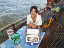 尼崎市立魚つり公園　毎日安定したサビキ釣果…