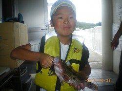 アコウ30.5cmをゲット！　姫路市立遊漁センター