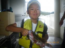 アコウ30.5cmをゲット！　姫路市立遊漁…