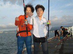 サビキでアジ連掛け　尼崎市立魚つり公園