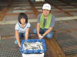 尼崎市魚つり公園　サビキのサバ・アジ・イワシは数釣りできます