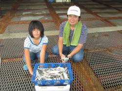 尼崎市魚つり公園　サビキのサバ・アジ・イワ…