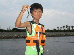 尼崎市魚つり公園　サビキのサバ・アジ・イワシは数釣りできます