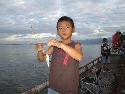 サバ、アジの釣果が目立ってます　尼崎市立魚つり公園