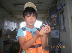 サビキでサンバソウ釣れました 姫路市立遊漁センター