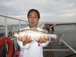 早朝７時までエビ撒きでハネ・セイゴ高活性　尼崎市立魚つり公園