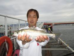 早朝７時までエビ撒きでハネ・セイゴ高活性　…