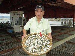 早朝７時までエビ撒きでハネ・セイゴ高活性　尼崎市立魚つり公園