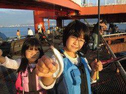 尼崎市立魚つり公園、サンバソウの活性上昇中