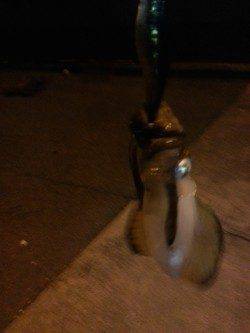 谷川漁港周辺エギング　やっと釣れた今年初めてのアオリイカ(^_^)v