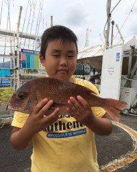 マリーナシティ海洋釣り堀　お子様の釣り堀釣果〜重かった☆