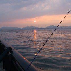 タチウオ狙いで神戸空港でワインド〜40cm弱のアコウヒット