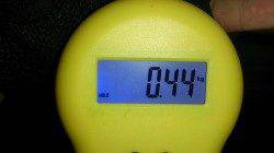 本荘人工島 タコテンヤで美味しいサイズをGET(^^)