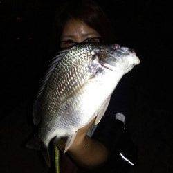 武庫川河口　岸壁SLKでキビレゲーム