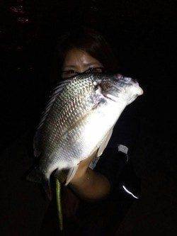 武庫川河口　岸壁SLKでキビレゲーム