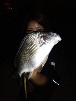 武庫川河口　岸壁SLKでキビレゲーム