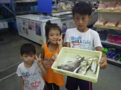 一本松漁港　サビキでアジ・コロダイがヒット…