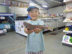 みなべ一本松漁港にて落とし込み　いっぱい釣れて楽しかったです♫