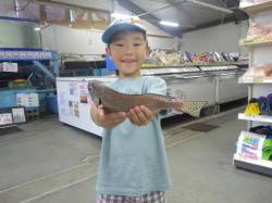 みなべ一本松漁港にて落とし込み　いっぱい釣…