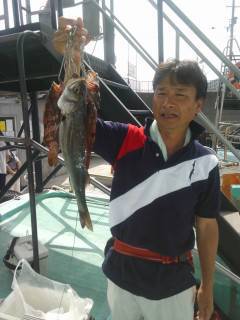 旧の赤灯台でハネ・グレ・アコウ・ガシラなど