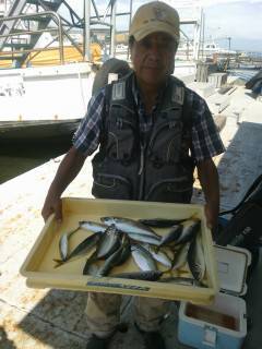 沖の一文字でファミリーフィッシング、アジがクーラーいっぱい