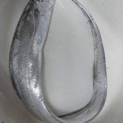 青岸にてウキ釣りとワームでタチウオの釣果